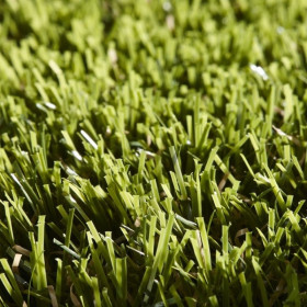 Trávnatý koberec LANO Rosemary výška 40mm