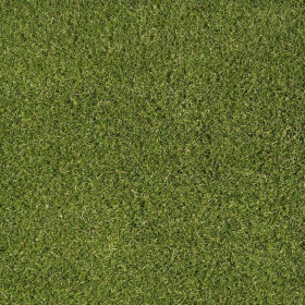 SVET DREVA Nitra - Trávnatý koberec Green12345 Daisy 40mm